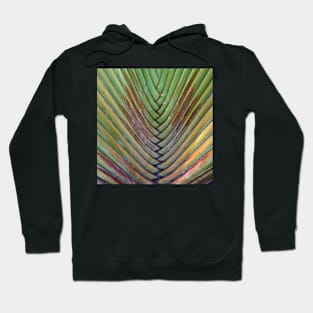 Sugar-bush Palm Hoodie